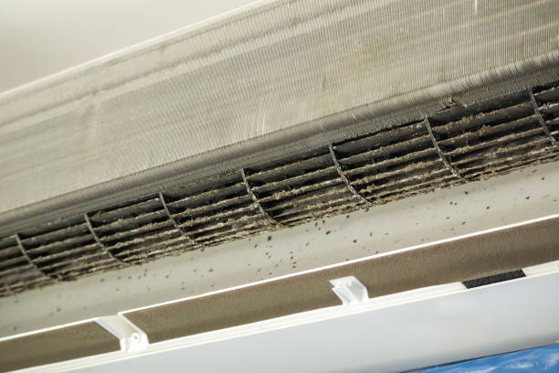 Best Local Air Duct Cleaning Services  in West Deland, FL
